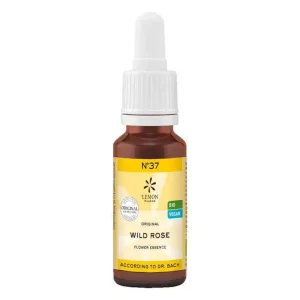 Esenta florală Bach nr. 37 Wild Rose Bio, 20 ml n.v.