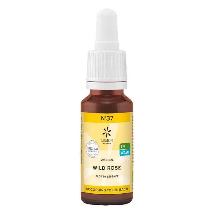 Esenta florală Bach nr. 37 Wild Rose Bio, 20 ml n.v. — preț și oferte