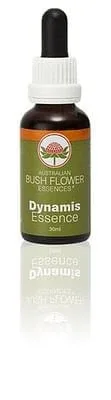 Dynamis 30 Ml 1 Bucată — preț și oferte
