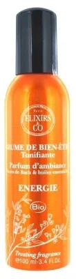 Elixirs & Co Spray de bunăstare tonifiant și energizant 100 ml — preț și oferte