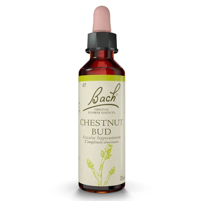FLORI DE BACH – ELIXIR CHESTNUT BUD Nr. 07 20 ml — preț și oferte