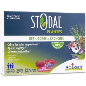 STODAL PLANTES NAS, GÂT ȘI BRONHII – AROMĂ DE FRUCTE ROȘII – 36 DE PASTILE