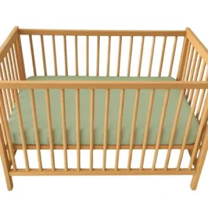 Cearceaf cu elastic dublat 2 in 1 din bumbac, cu interior impermeabil, 60x120 cm, Verde, Twindeco