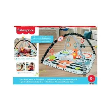 Salteluta de activitati muzicala 3 in 1, 0 luni+, Fisher Price — preț și oferte