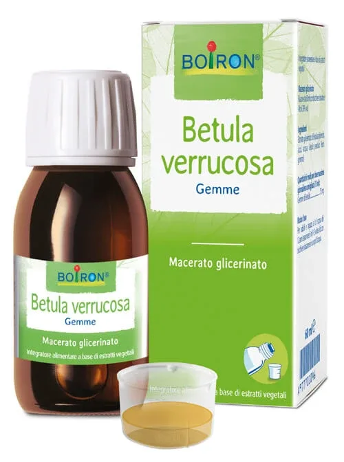 Macerat gliceric Betula Verrucus 60ml Boiron — preț și oferte