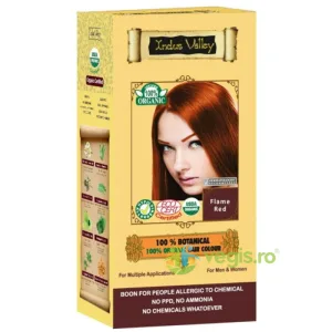 Vopsea de Par Henna Flame Red Botanical 120g