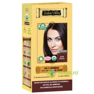 Vopsea de Par Henna Negru Soft Black Botanical 120g