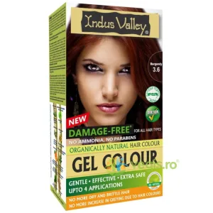 Vopsea de Par Henna Gel 3.6 Burgundy 220g