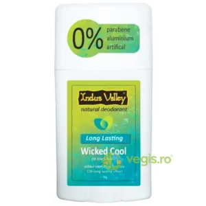 Deodorant Stick Wicked Cool 50g
