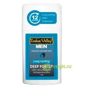 Deodorant Stick pentru Barbati Deep Forest 50g