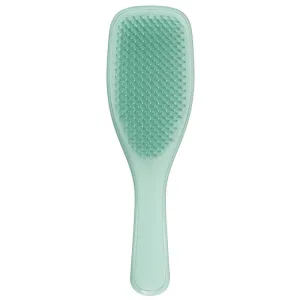 AMBITAS Tangle Teezer Wet Detangling F&F Dark Teal
