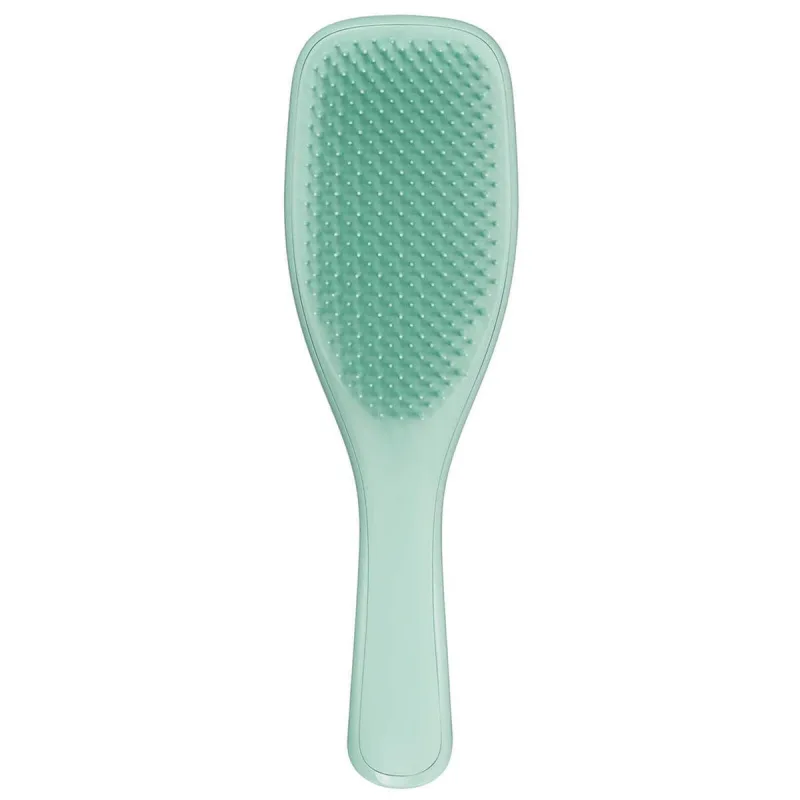 AMBITAS Tangle Teezer Wet Detangling F&F Dark Teal — preț și oferte