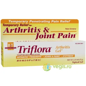 Triflora Arthritis Gel 77g