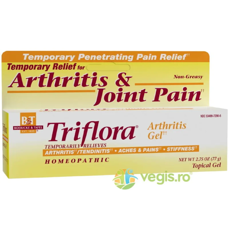 Triflora Arthritis Gel 77g BOERICKE & TAFEL — preț și oferte