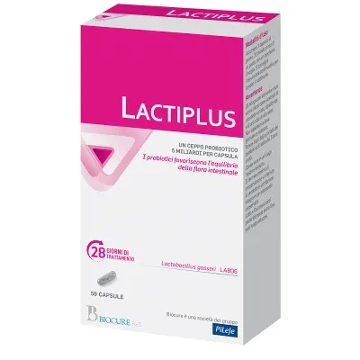 Lactiplus 56 capsule, Pileje — preț și oferte