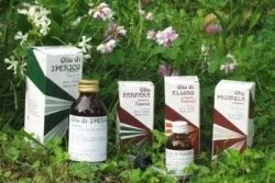 RAEMIL ULEI DE PRIMULA 25ML — preț și oferte