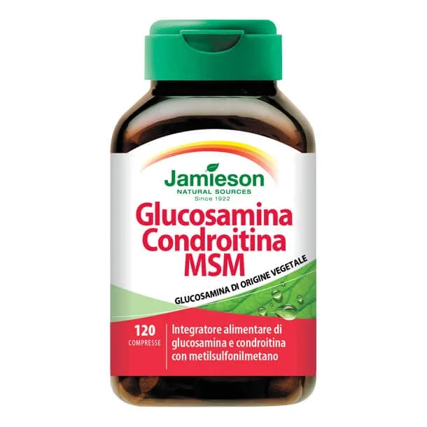 GLUCOZAMINĂ CHONDROIT MSM120CPR — preț și oferte