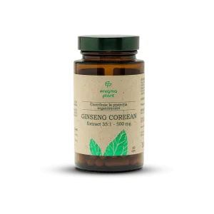 Ginseng Coreean, contribuie la protecția organismului, extract 35:1 - 500mg, 60 capsule
