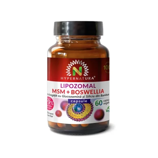 Hypernatura Lipozomal MSM+Boswellia – supliment alimentar sub forma de capsule îmbogățit cu glucozamină și siliciu din bambus – 60 cps — preț și oferte