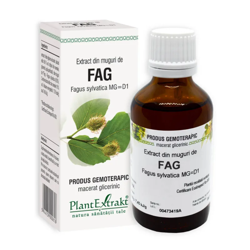 Extract din muguri de Fag, 50 ml, Plant Extrakt PLANTEXTRAKT — preț și oferte