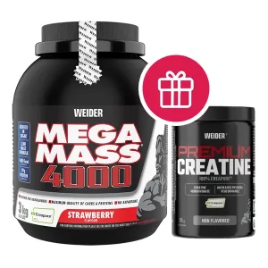 Supliment nutritiv Weider Mega Mass 4000, vanilie, 3 kg