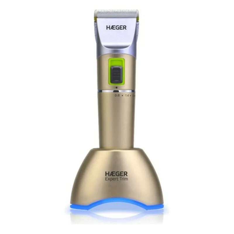 Aparat de ras electric reîncărcabil, Haeger, HC-WG3.011A, auriu — preț și oferte