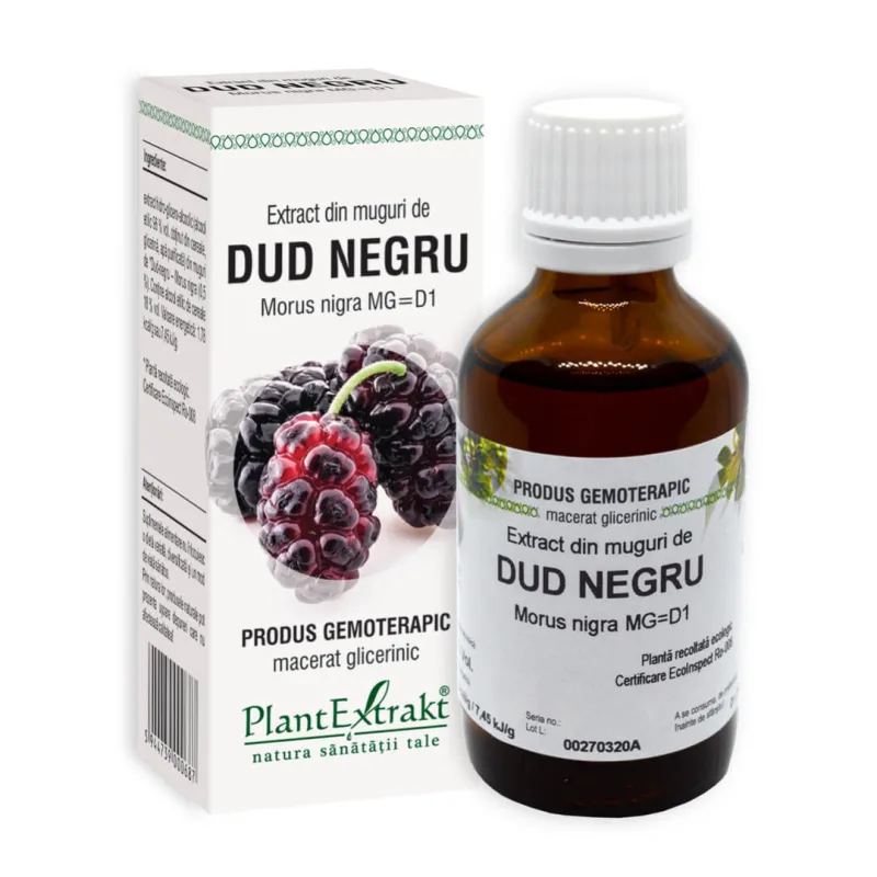 Extract din muguri de Dud Negru, 50 ml, Plant Extrakt PLANTEXTRAKT — preț și oferte