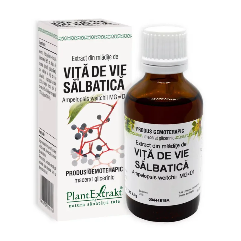Extract din mladite de Vita de Vie Salbatica, 50 ml, Plant Extrakt PLANTEXTRAKT — preț și oferte
