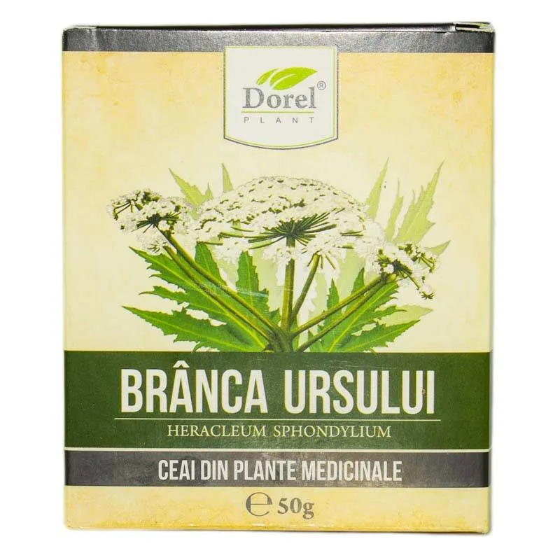CEAI DE BRANCA URSULUI 50GR Dorel Plant — preț și oferte
