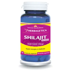 Shilajit Mumio