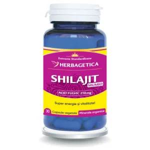 Shilajit Mumio