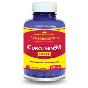 Curcumin95 Forte