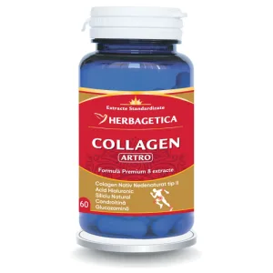 Collagen Artro