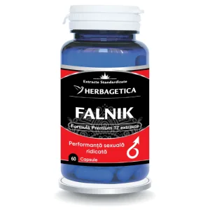 Falnik