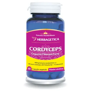 Cordyceps Ciuperca Tibetana Forte