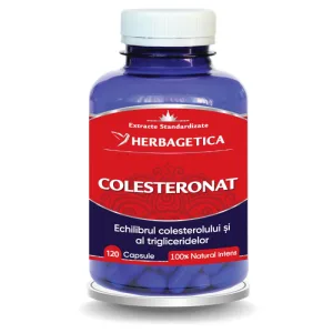 Colesteronat