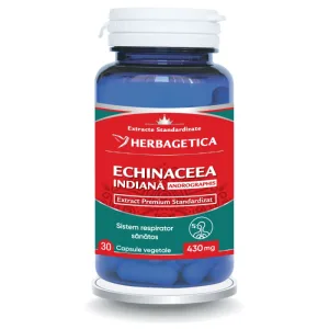 Echinaceea Indiana