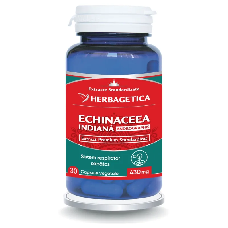 Echinaceea Indiana — preț și oferte