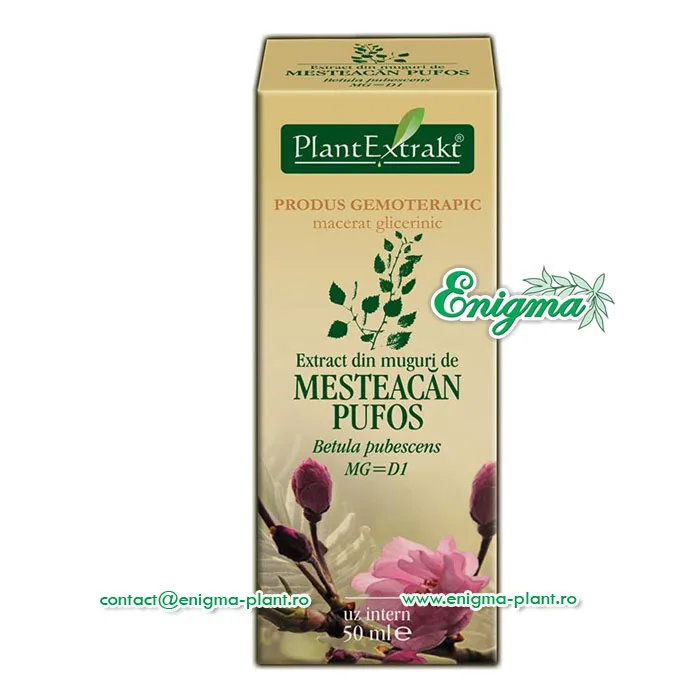 Extract din muguri de mesteacan pufos - 50ml PLANTEXTRAKT — preț și oferte