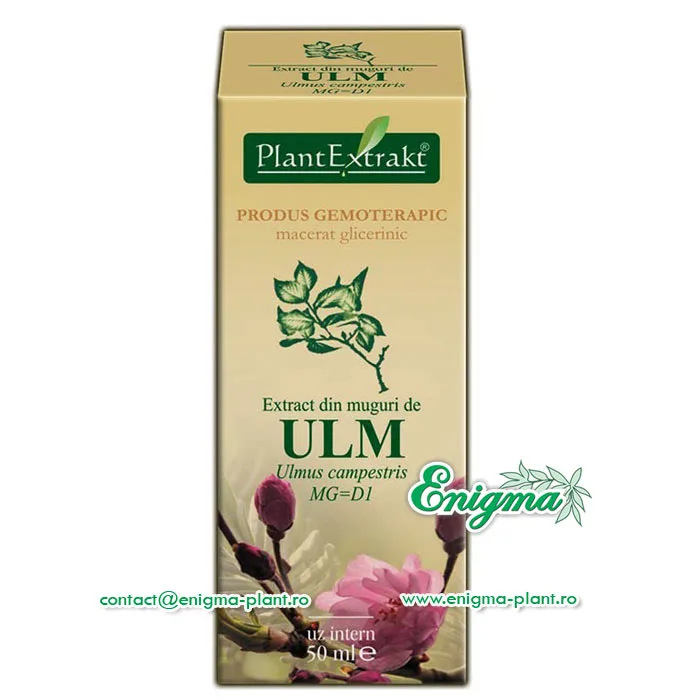 Extract din muguri de ulm – 50ml — preț și oferte