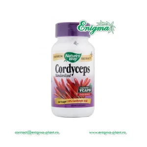 Cordyceps - capsule