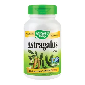 Astragalus Root Nature's Way, 100 capsule, Secom