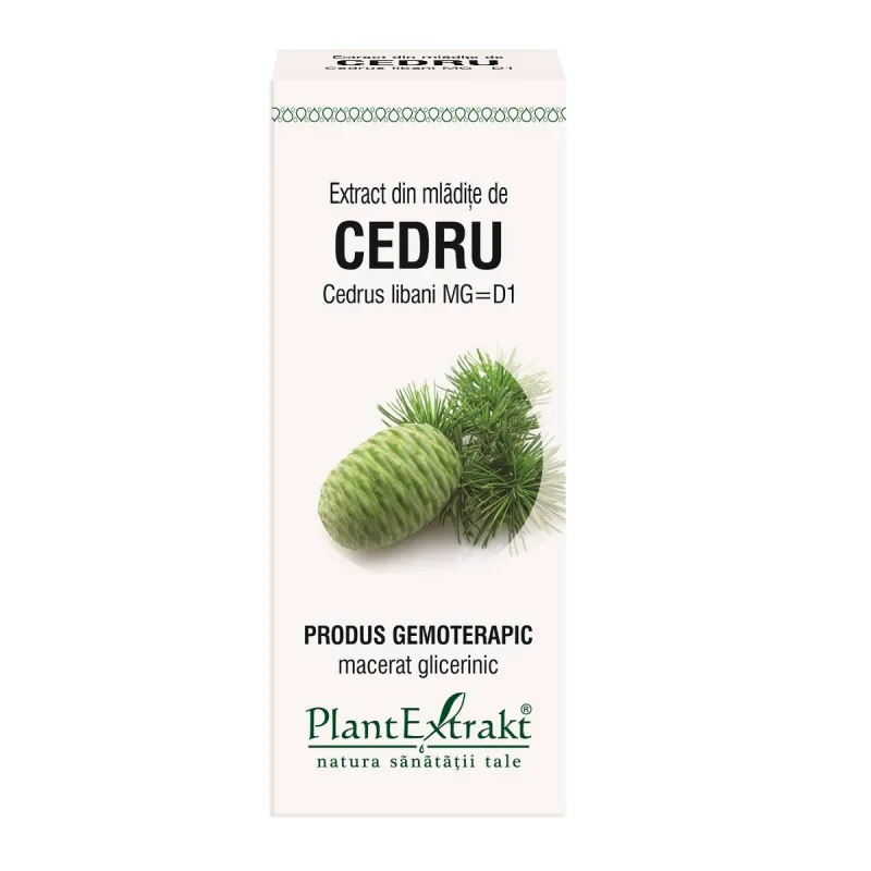 CEDRU - mladite - gemoderivat - 50ml - PlantExtrakt — preț și oferte