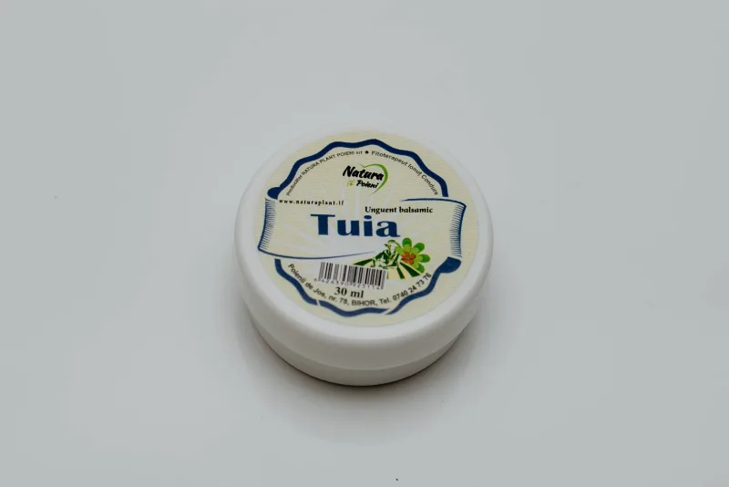 Unguent balsamic cu tuia, 30ml – Natura Plant Poieni NATURA PLANT IF — preț și oferte