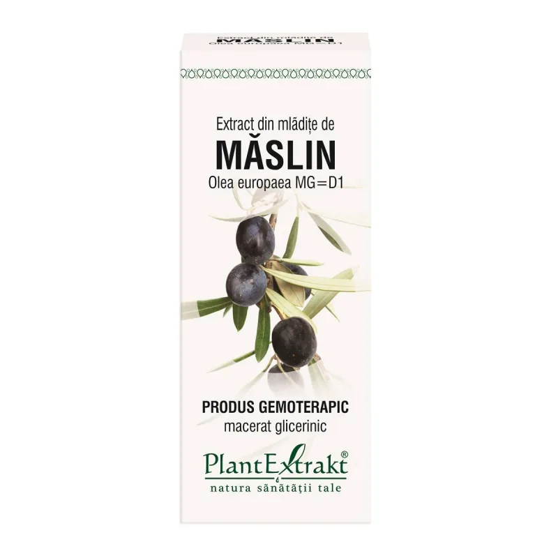 MASLIN - mladite - gemoderivat - 50ml - PlantExtrakt — preț și oferte