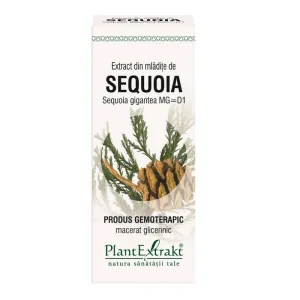 SEQUOIA - mladite - gemoderivat - 50ml - PlantExtrakt