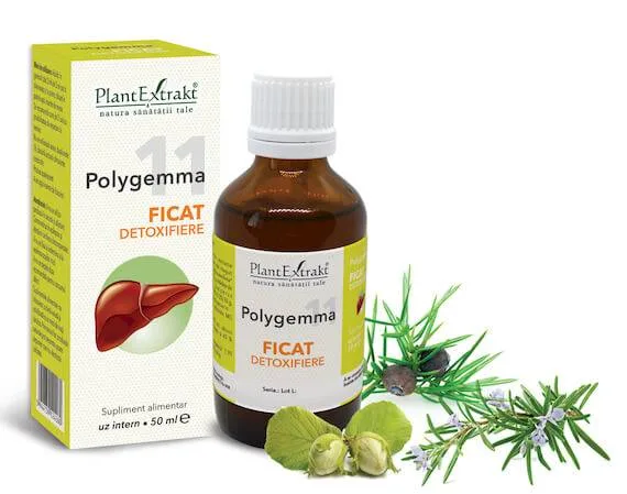 Polygemma 11 - Ficat detoxifiere 50ml Plantextrakt — preț și oferte