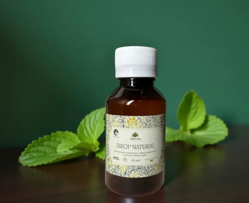 Sirop de Mentă — preț și oferte