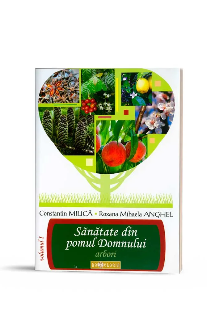 Sanatate din pomul Domnului. Vol. 1 — preț și oferte