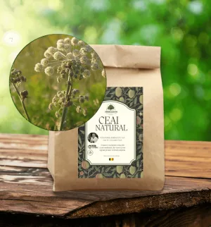 Ceai de Angelică - herba